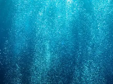 Seabed Mineral Services